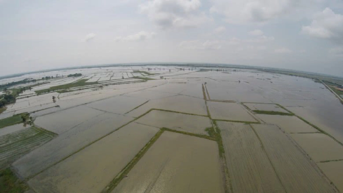 กรมชลฯคาดอีก 10วันน้ำค้างทุ่งไหลลงสู่เจ้าพระยา