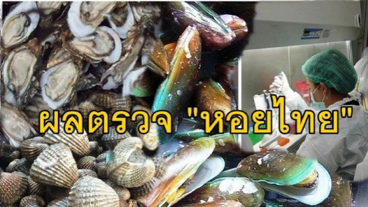 กรมวิทย์เผยผลตรวจ"หอยไทย"! กรมวิทย์เผยผลตรวจ"หอยไทย"!