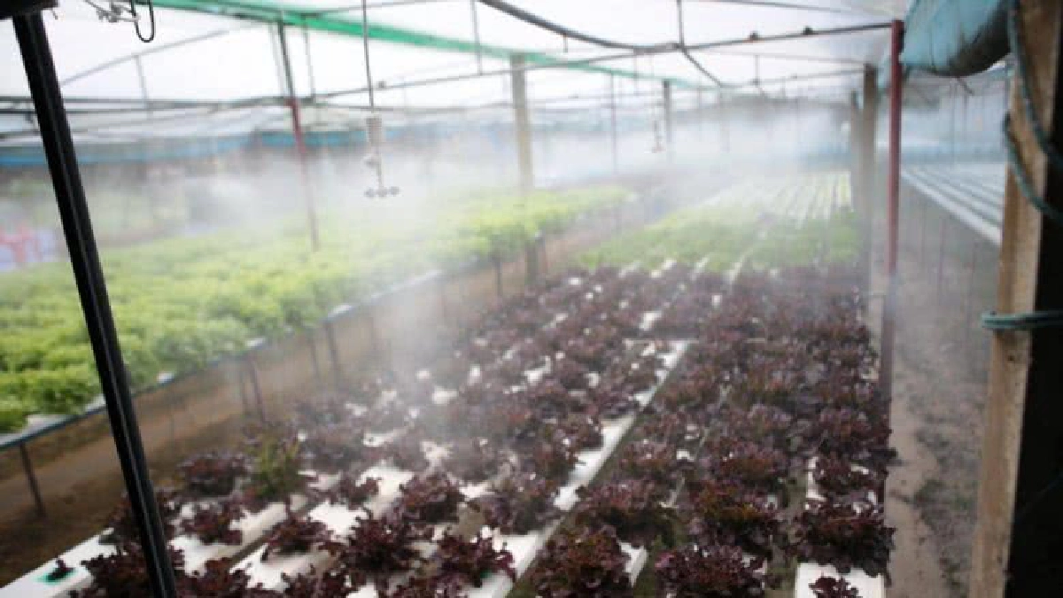 โชว์3นวัตกรรมฝีมือคนไทย โดรน-แขนกล-โรงเรือนอัจฉริยะ