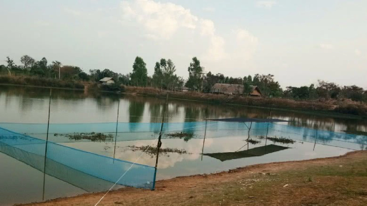 สศก.โชว์ผลติดตามธนาคารประมง 20 จังหวัด