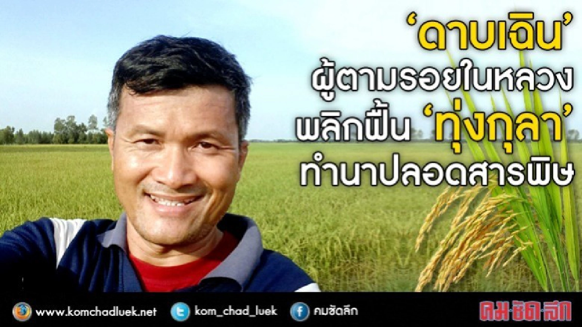 ตามรอย"ในหลวงร.9" พลิกฟื้น“ทุ่งกุลา”นาปลอดสารพิษ