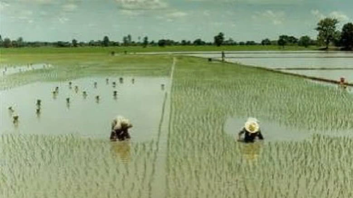 ปราโมทย์ติง‘ภาษีน้ำ’หวั่นชนวนขัดแย้งเกษตรกร 