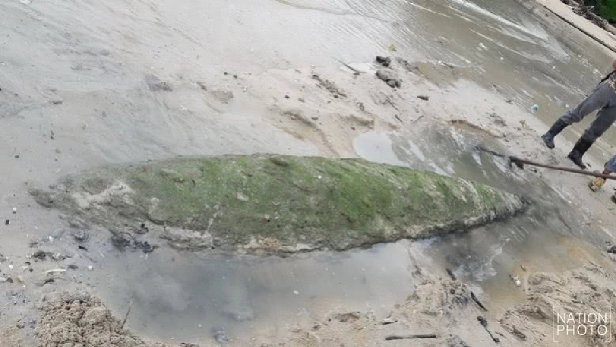 คล้ายตอร์ปิโดโผล่หาดในยาง !? คล้ายตอร์ปิโดโผล่หาดในยาง !?