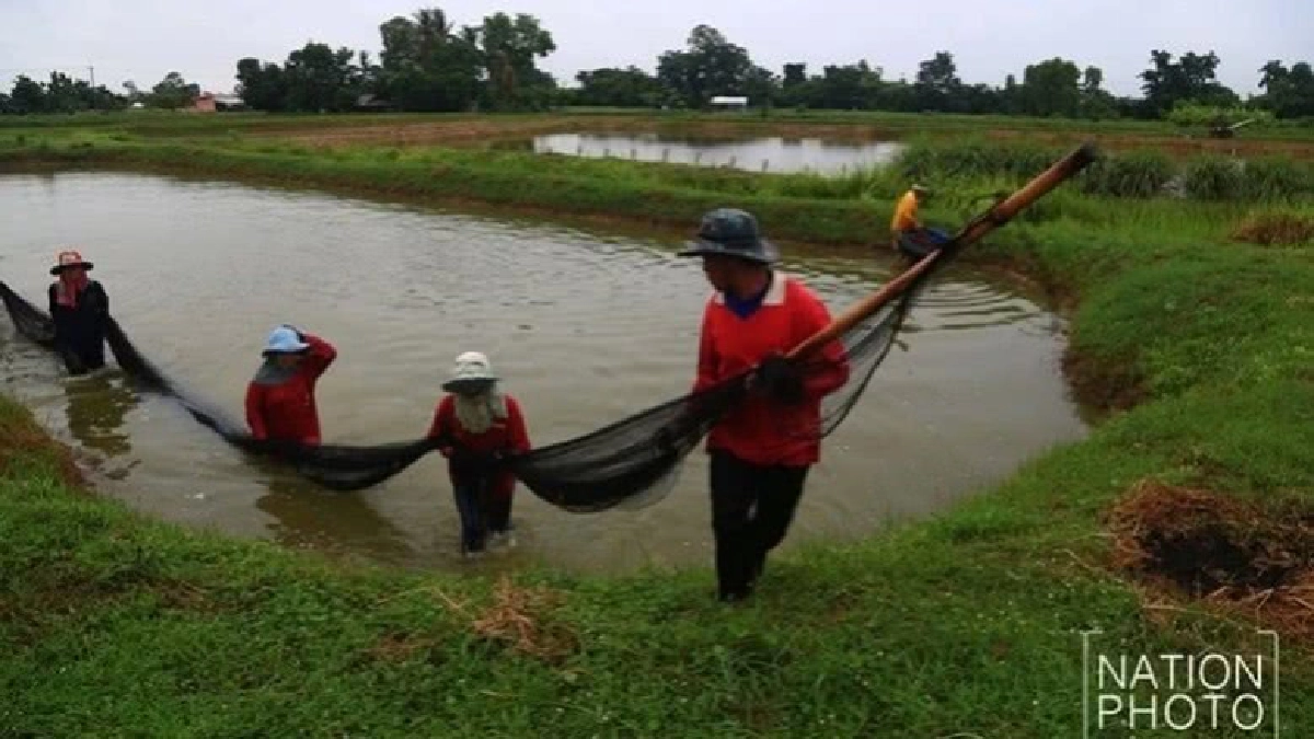 บิดเบือนเก็บภาษีน้ำ