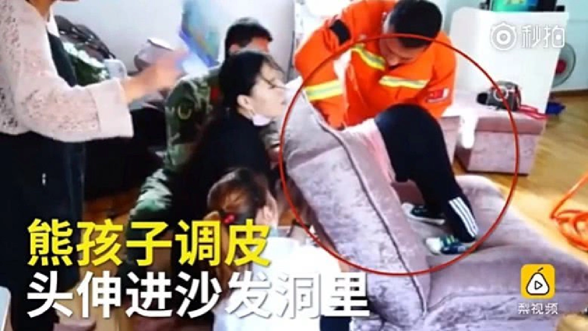 (คลิป) ช่วยชีวิตหนูน้อยหัวติดโซฟา (คลิป) ช่วยชีวิตหนูน้อยหัวติดโซฟา