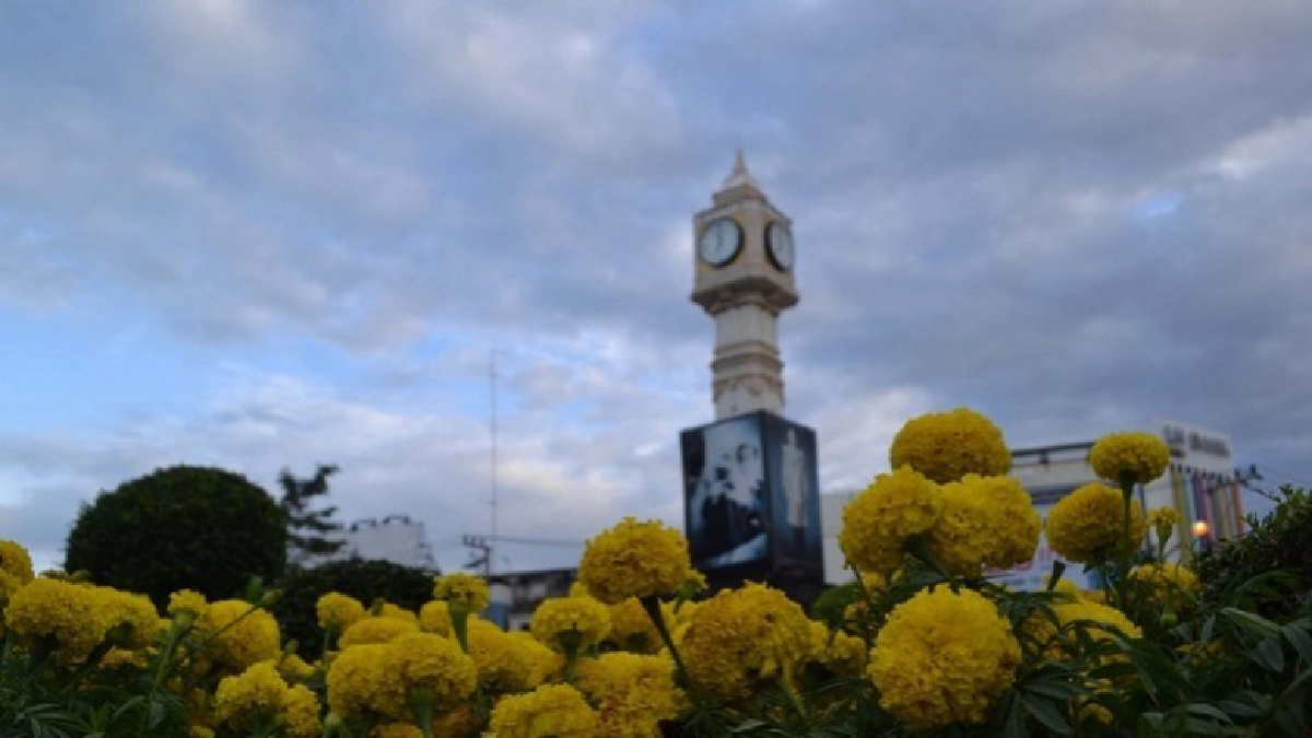 ทั่วเมืองพิษณุโลกเหลืองอร่าม