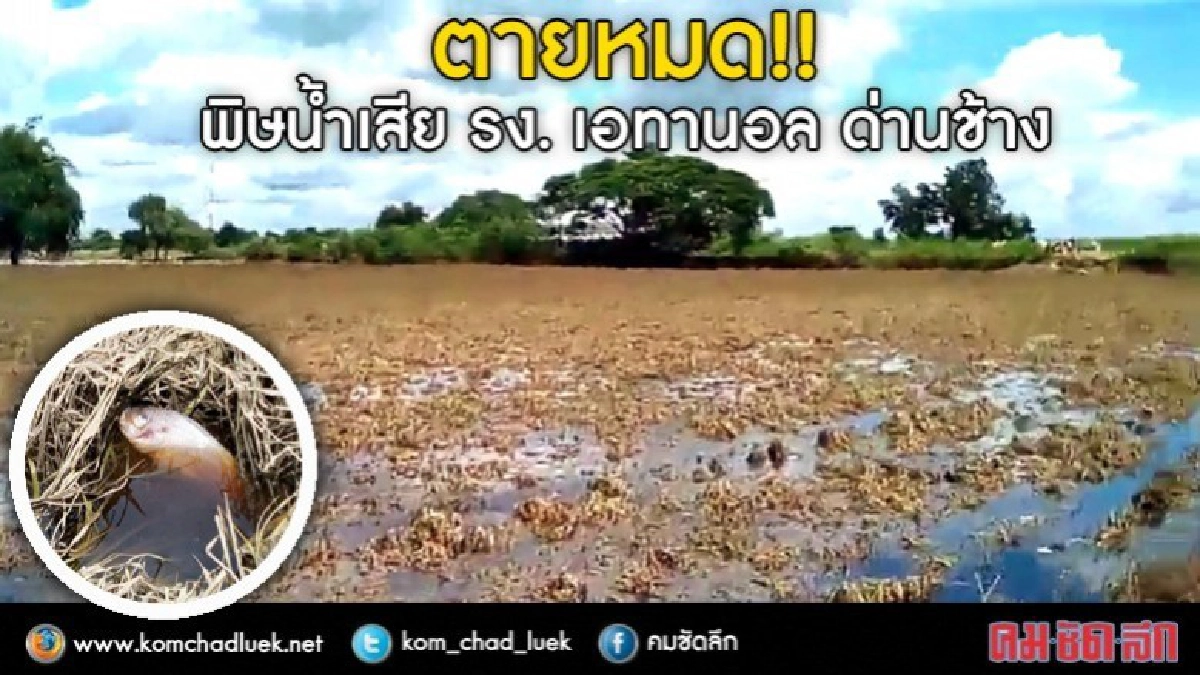 ตายหมด!! พิษน้ำเสีย รง.เอทานอล ด่านช้าง ดูคลิปชัดๆ!! ตายหมด!! พิษน้ำเสีย รง.เอทานอล ด่านช้าง ดูคลิปชัดๆ!!