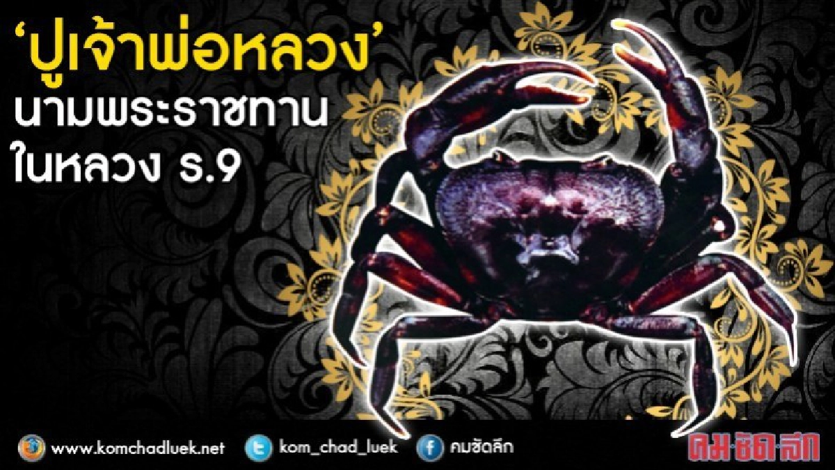 รู้จัก"ปูเจ้าพ่อหลวง" นามพระราชทานในหลวงร.9