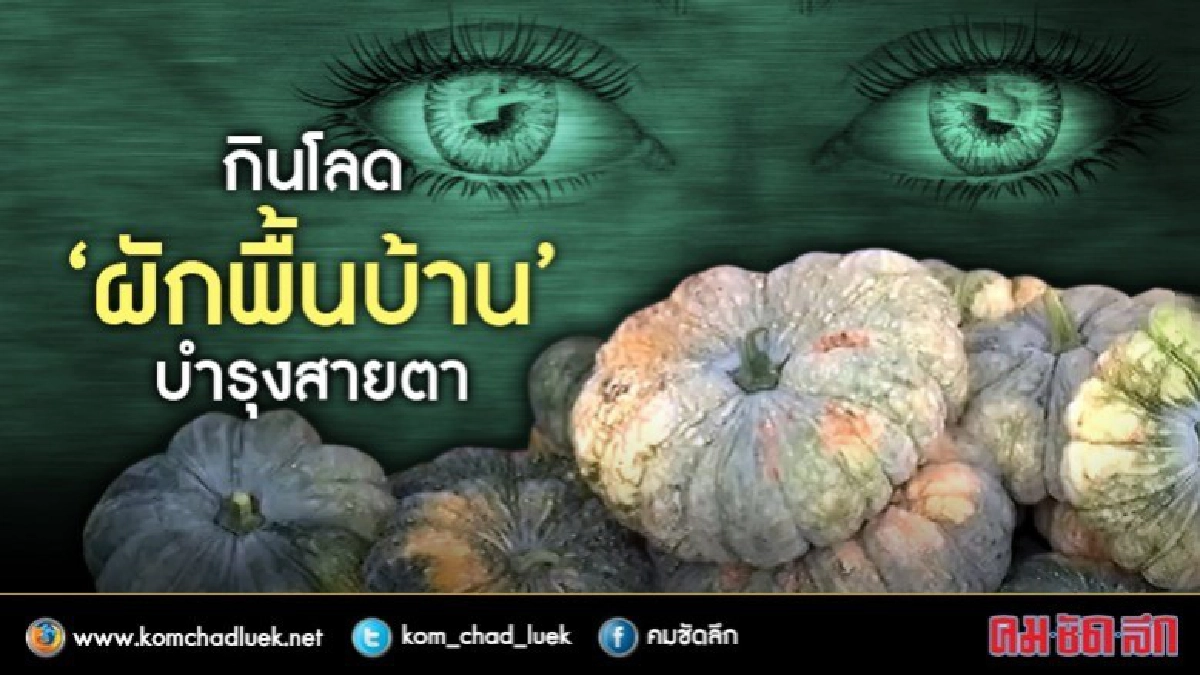 “ผักพื้นบ้าน” บำรุงสายตา เพิ่มประสิทธิภาพ การมองเห็น “ผักพื้นบ้าน” บำรุงสายตา เพิ่มประสิทธิภาพ การมองเห็น