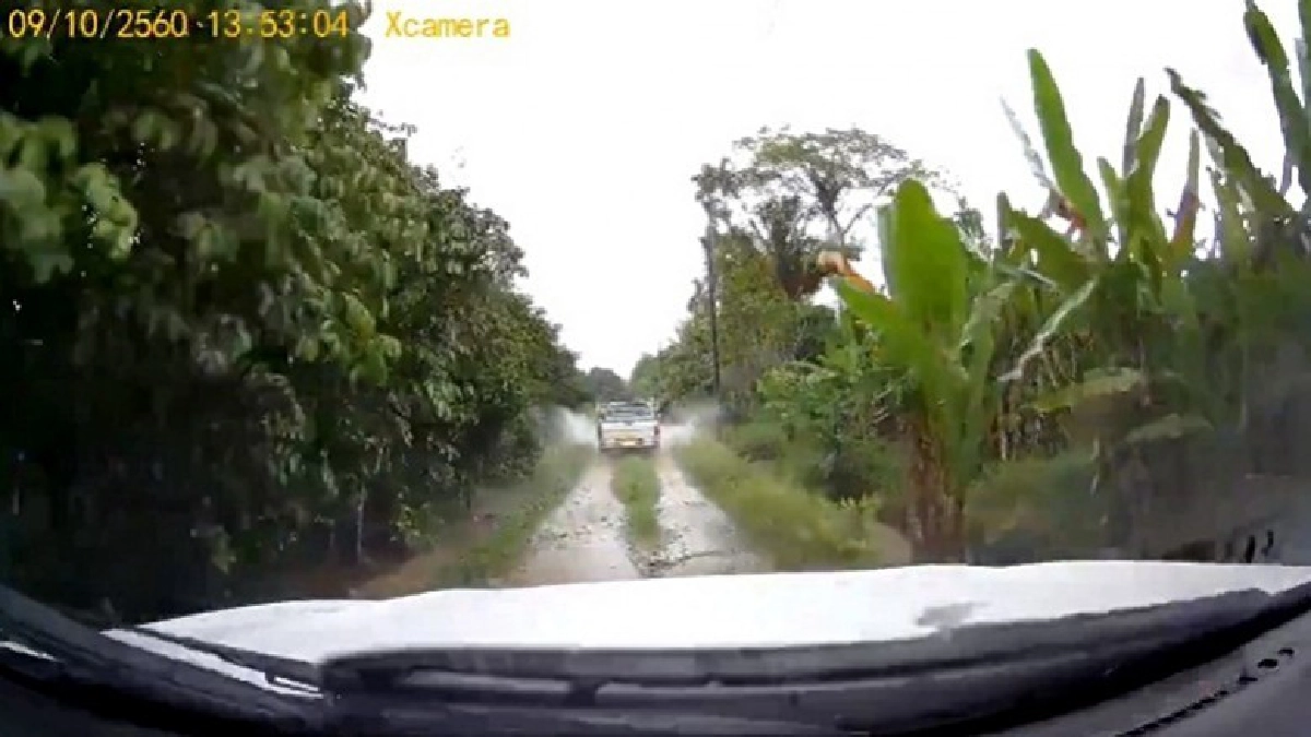 (คลิป) ตำรวจสายบู๊ล่าคนร้ายหนีคดี (คลิป) ตำรวจสายบู๊ล่าคนร้ายหนีคดี