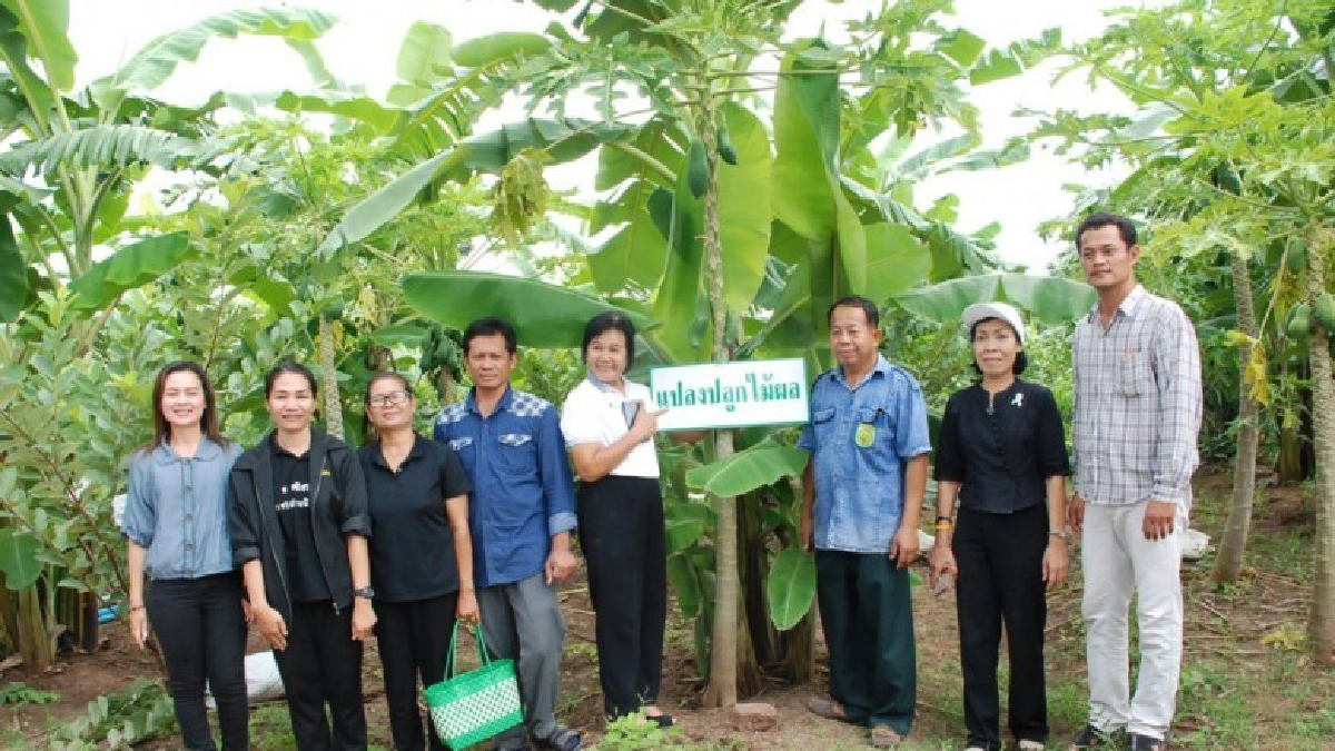 “หลุบคา” พลิกป่าช้าชัยภูมิเป็นศูนย์ศก.พอเพียงครบวงจร