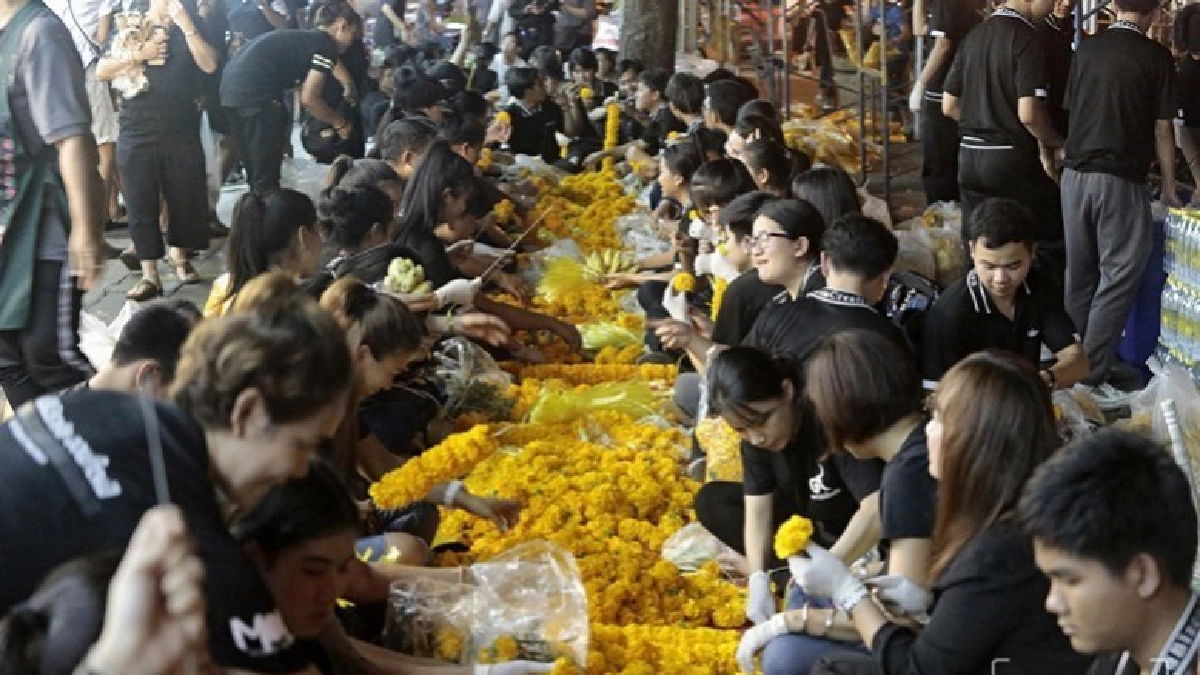 อุโมงค์ “ดอกไม้เพื่อพ่อ” (ภาพชุด) อุโมงค์ “ดอกไม้เพื่อพ่อ” (ภาพชุด)