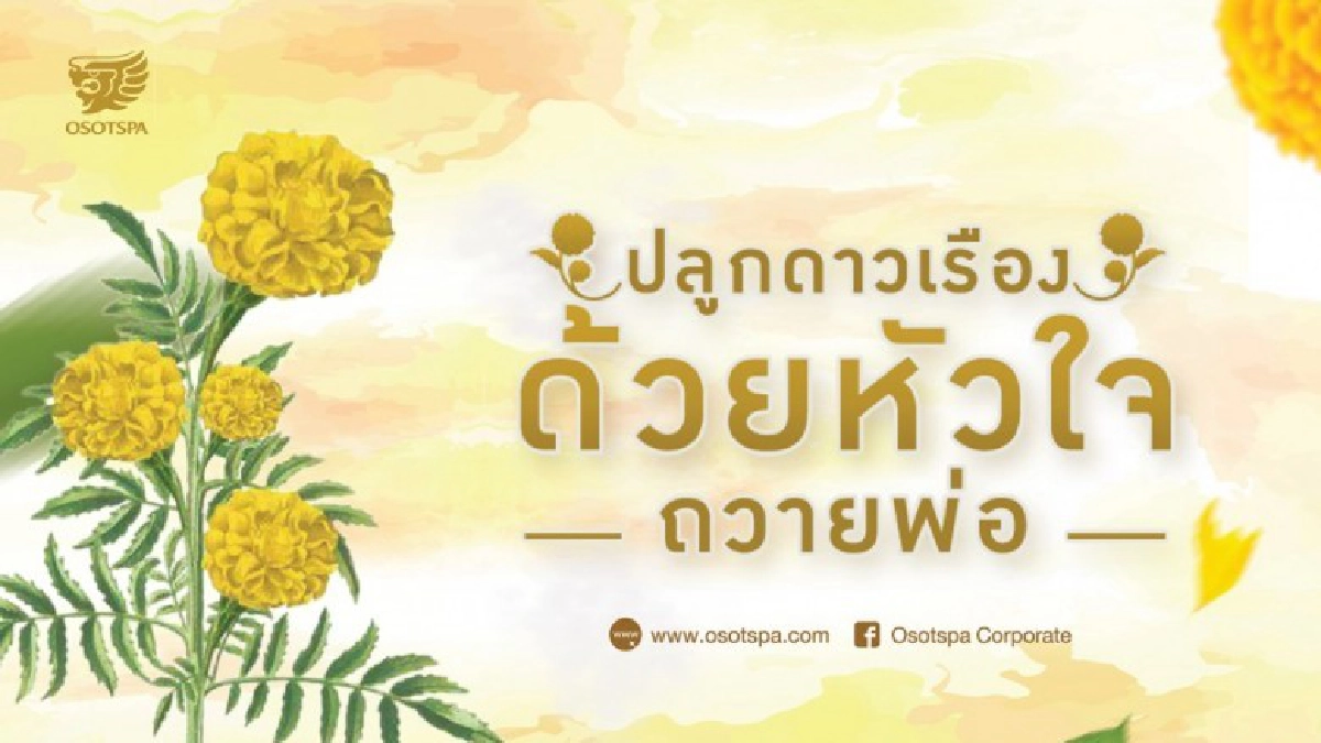 "โอสถสภา"เชิญชวนปลูกดาวเรืองออนไลน์
