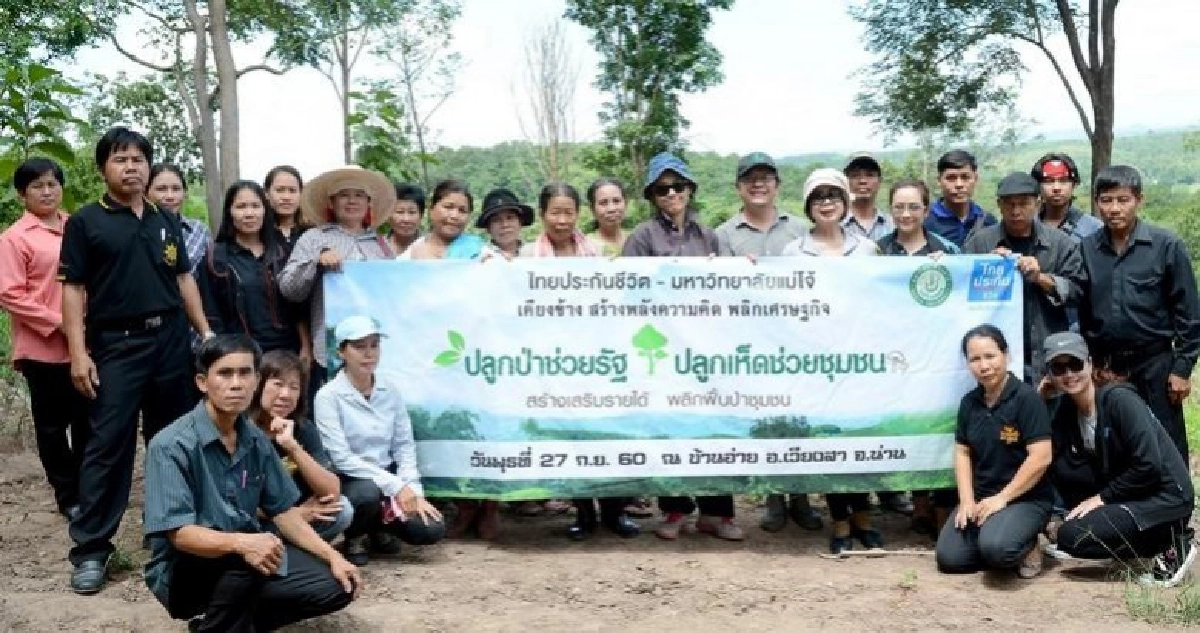 ปลูกป่าช่วยรัฐ ปลูกป่าช่วยรัฐ