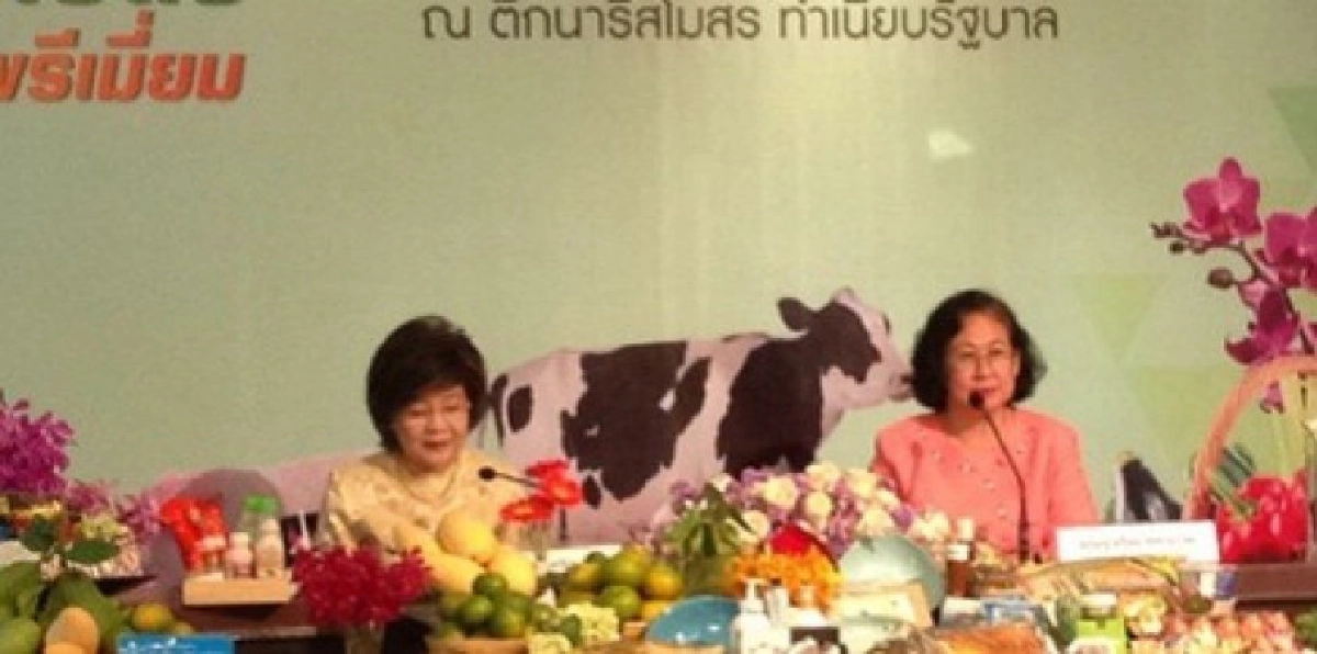 จัดเต็ม ตลาดเกษตรเกรดพรีเมี่ยมริมคลองผดุง 6-26 พ.ย.นี้