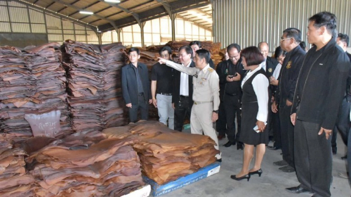 เกษตรกรเตรียมยื่นหนังสือถึงนายกฯปลดผู้ว่ากยท.เหตุราคายางตก 