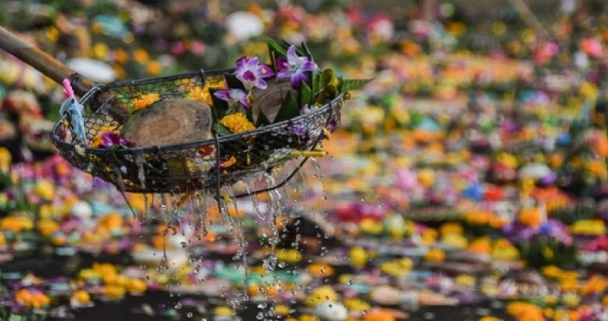 เร่งเก็บ“กระทง”ในม.เกษตร (ภาพชุด) เร่งเก็บ“กระทง”ในม.เกษตร (ภาพชุด)