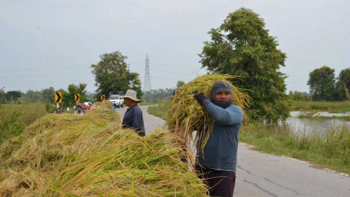 หน้าแล้งปีหน้าน้ำเพียงพอหนุนภาคเกษตรในพื้นที่เขตชลประทาน