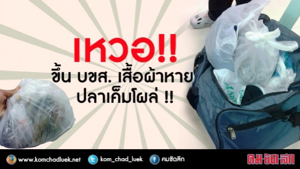 เหวอ!! ขึ้น บขส. เสื้อผ้าหาย ปลาเค็มโผล่ !! เหวอ!! ขึ้น บขส. เสื้อผ้าหาย ปลาเค็มโผล่ !!