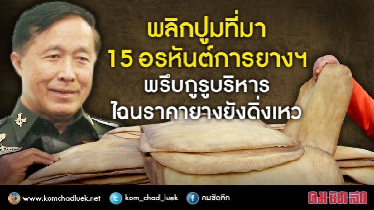 พลิกปูมที่มา15อรหันต์การยางฯ กูรูบริหาร ไฉนราคายางยังดิ่งเหว พลิกปูมที่มา15อรหันต์การยางฯ กูรูบริหาร ไฉนราคายางยังดิ่งเหว