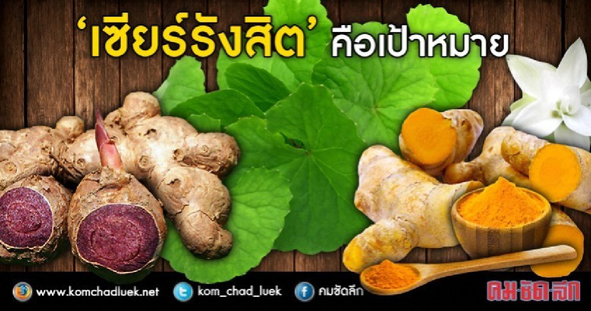 เล็งตั้ง"เอาท์เล็ต"ผลิตภัณฑ์สมุนไพรเป็นของฝากจากเมืองไทย
