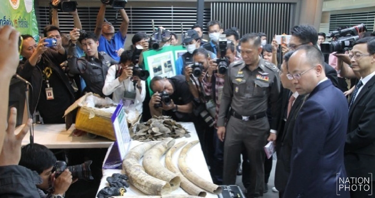 ตรวจยึดลอบขนงาช้าง-เกล็ดลิ่นมูลค่า 11 ล้าน