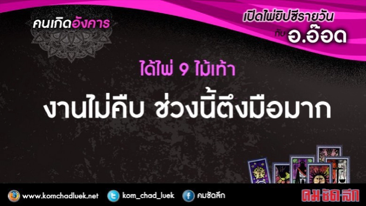 เปิดไพ่ยิปซีรายวัน : อ.21พ.ย.60 เปิดไพ่ยิปซีรายวัน : อ.21พ.ย.60