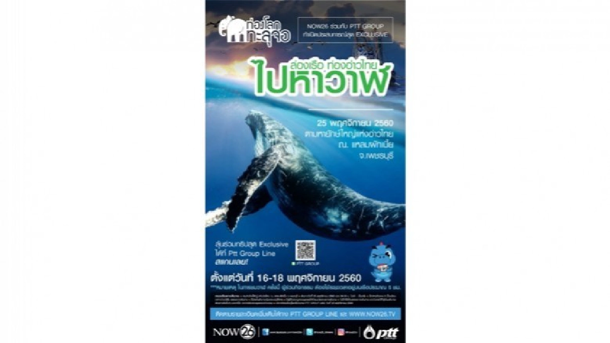 ท่องโลกทะลุจอกิจกรรม ล่องเรือ ท่องอ่าวไทย ไปหาวาฬ
