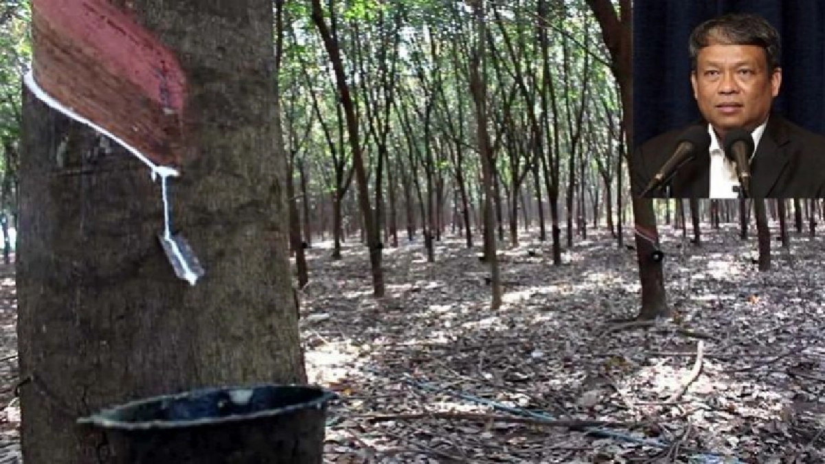 ปชป. ติง รบ.ต้องกล้ารับฟังเสียงชาวสวนยาง