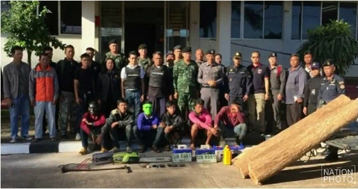 รวบแก๊งมอดไม้ข้ามชาติ ลอบตัดไม้พะยูงในวัด!