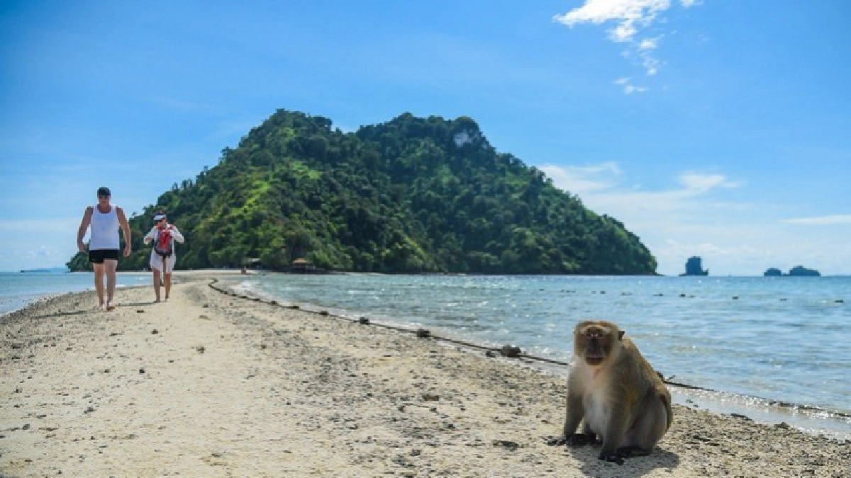 “ทะเลแหวก” อันซีนไทยแลนด์ แห่งอันดามันไทย 