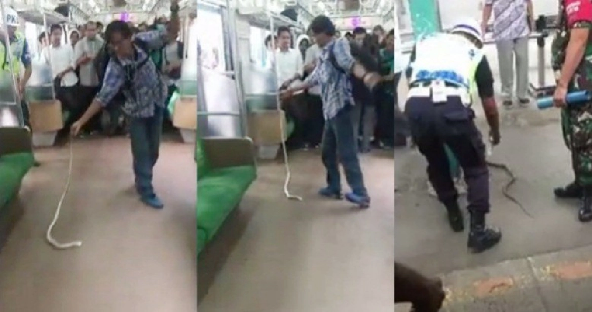 เจองูบนรถไฟ!! หนุ่มอินโดโชว์ใช้มือเปล่าจับฟาด(ชมคลิป)