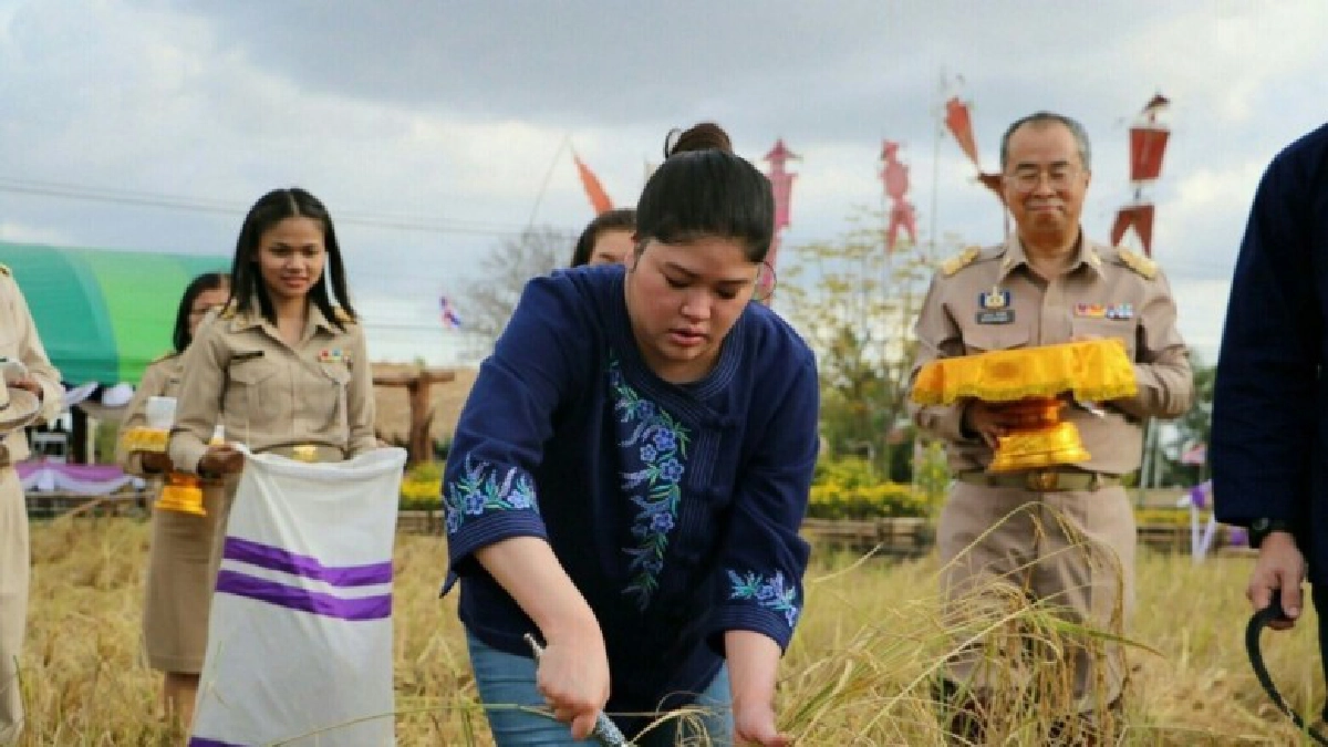 พระองค์เจ้าอทิตยาทรฯ ทรงร่วมพิธีทำขวัญข้าว