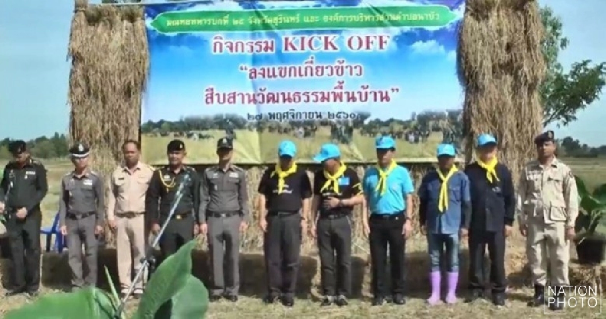 ผวจ.สุรินทร์ ฟื้นฟูประเพณีลงแขกเกี่ยวข้าว ผวจ.สุรินทร์ ฟื้นฟูประเพณีลงแขกเกี่ยวข้าว