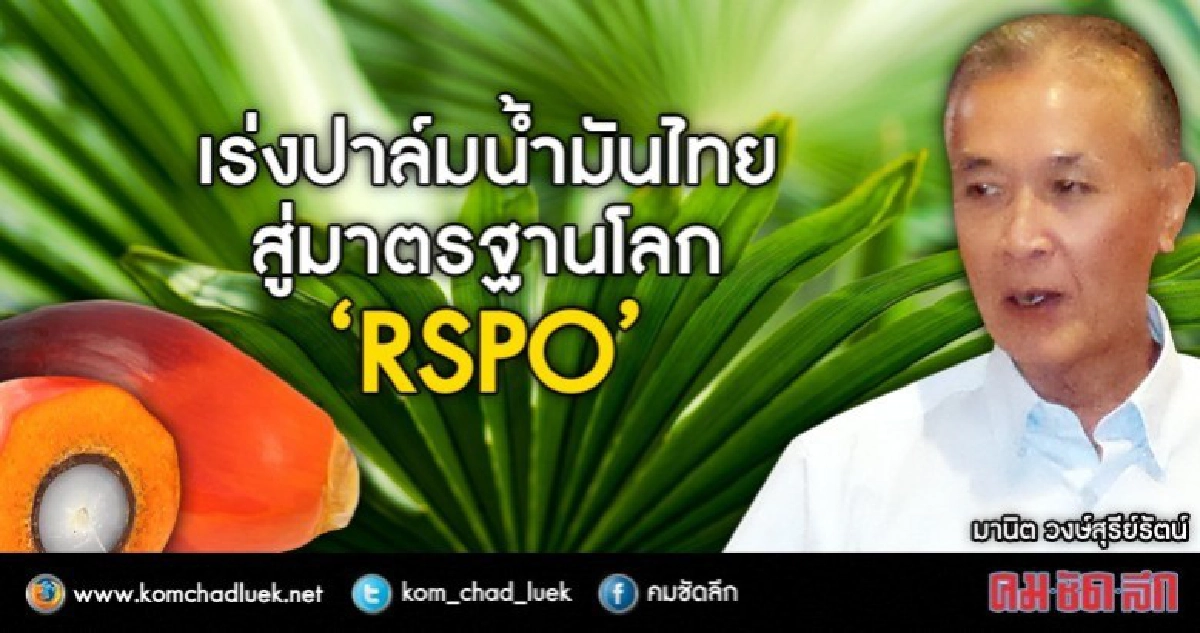 เร่งปาล์มน้ำมันไทยสู่มาตรฐานโลก "RSPO" เร่งปาล์มน้ำมันไทยสู่มาตรฐานโลก "RSPO"