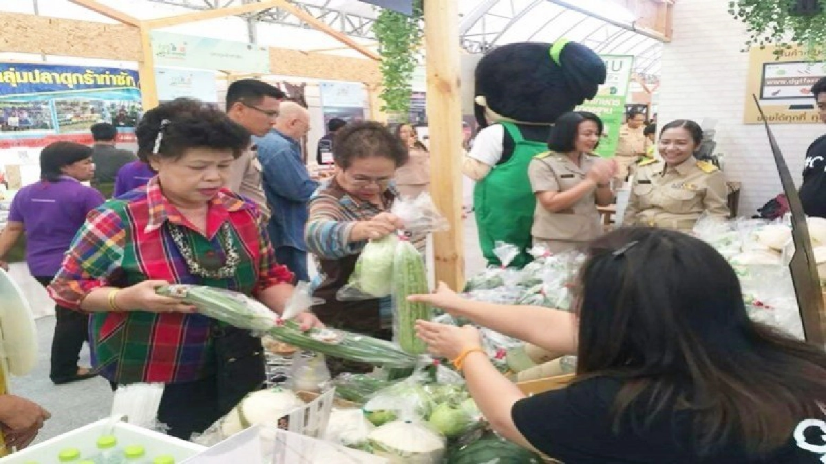 “ตลาดเกษตรเกรดพรีเมี่ยม”สะพัด 28.5 ล้านบาท “ตลาดเกษตรเกรดพรีเมี่ยม”สะพัด 28.5 ล้านบาท