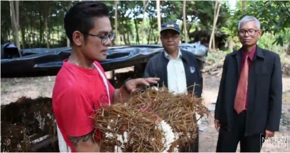 หนุ่ม ป.โทวิศวะปลูก'เห็ดโคนน้อย'ในตะกร้า หนุ่ม ป.โทวิศวะปลูก'เห็ดโคนน้อย'ในตะกร้า