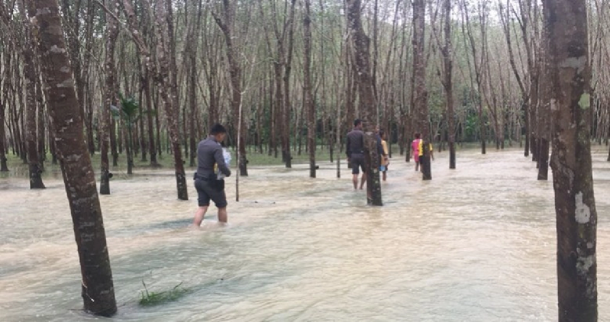 9 ขวบโพสต์บ้านน้ำท่วม สภ.สะบ้าย้อย รุดช่วย 9 ขวบโพสต์บ้านน้ำท่วม สภ.สะบ้าย้อย รุดช่วย