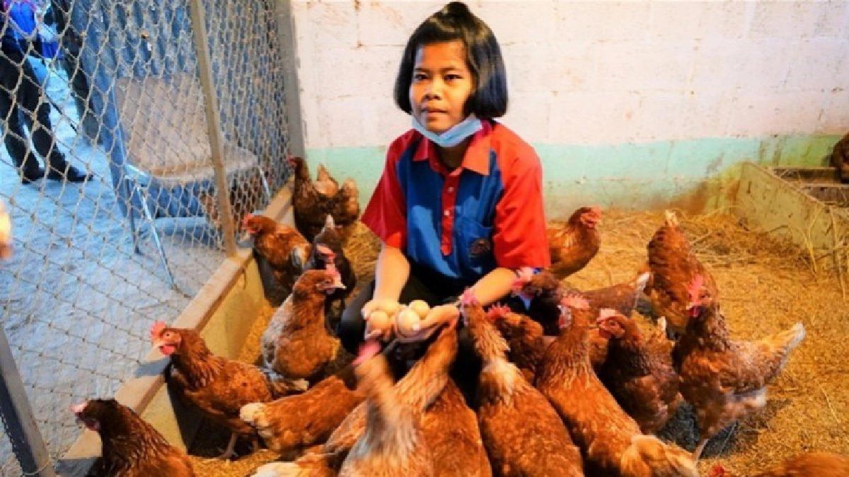 พา"เด็กเมืองช้าง"เรียนรู้โลกอาชีพ