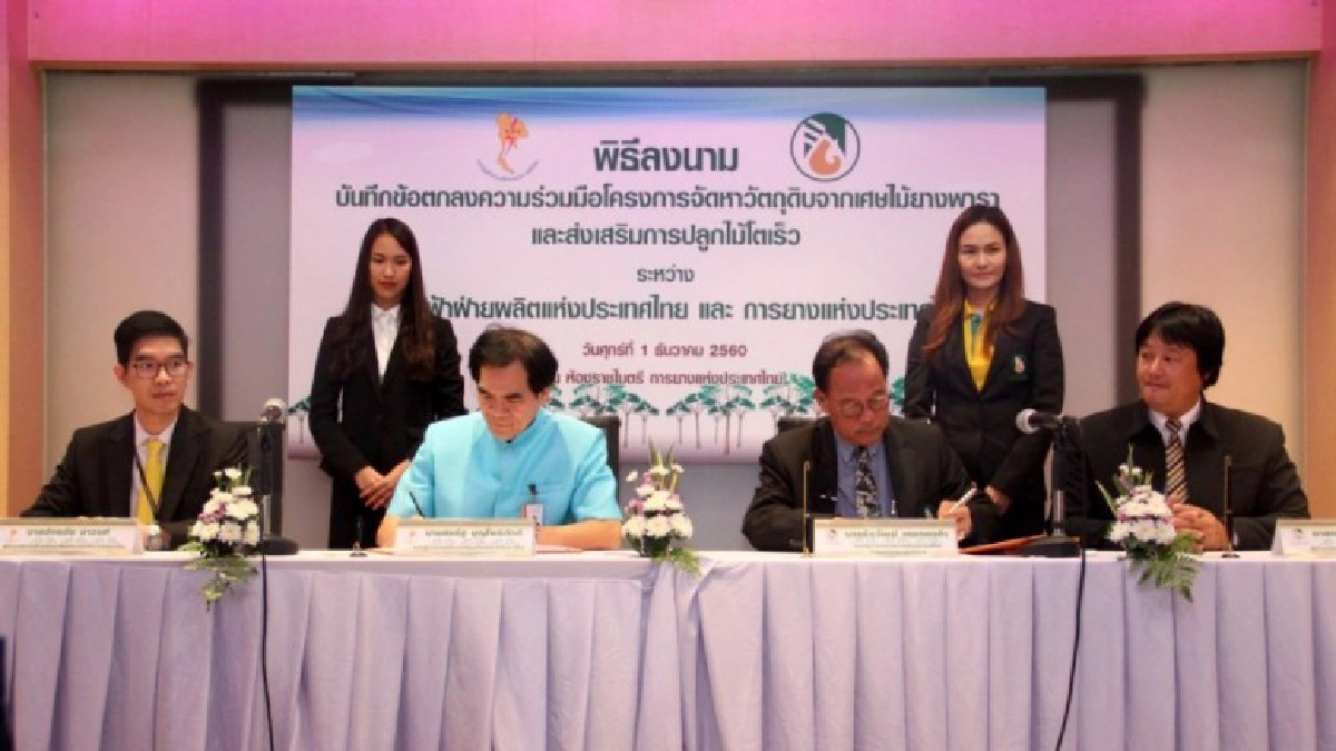 กยท.ผนึกกฟผ.จัดหาเศษไม้ยางพารา-ไม้โตเร็วทำเชื้อเพลิงไฟฟ้า 