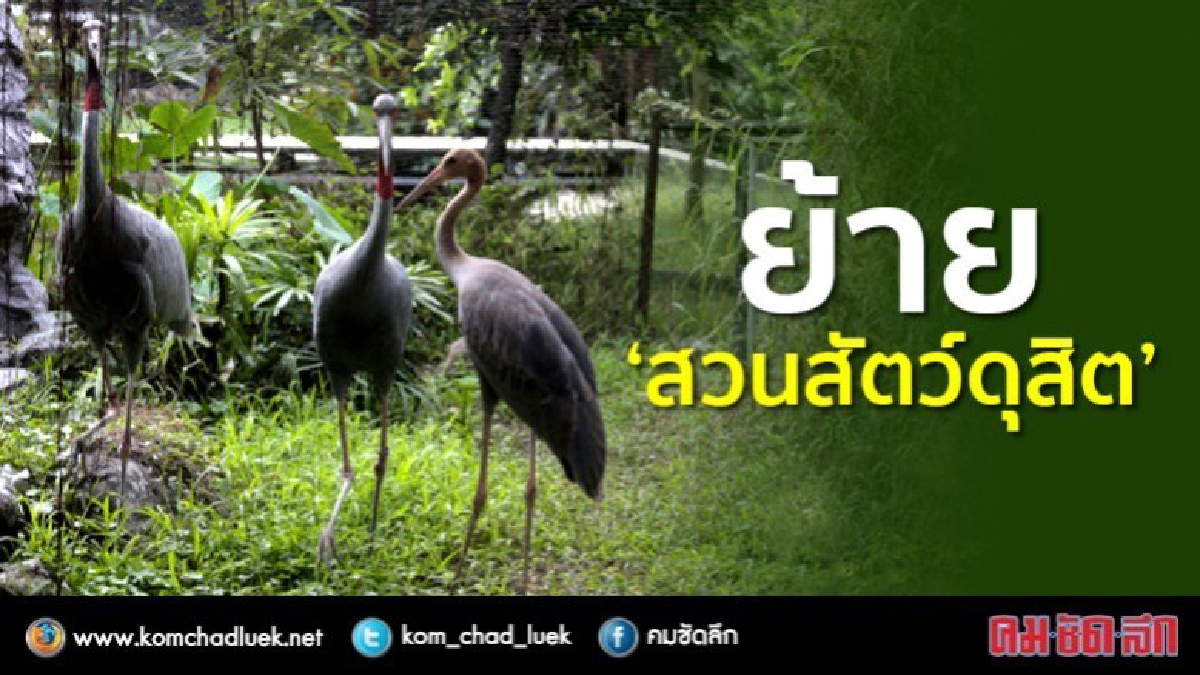 ย้าย"สวนสัตว์ดุสิต" ไปที่ใหม่ คาดอย่างเร็วปี 62 ย้าย"สวนสัตว์ดุสิต" ไปที่ใหม่ คาดอย่างเร็วปี 62