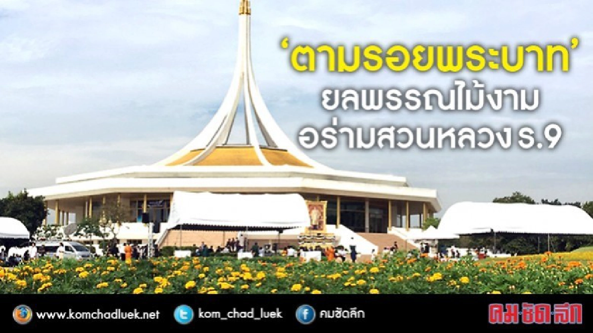 ตามรอยพระบาท ยลพรรณไม้งามอร่าม“สวนหลวงร.9” ตามรอยพระบาท ยลพรรณไม้งามอร่าม“สวนหลวงร.9”