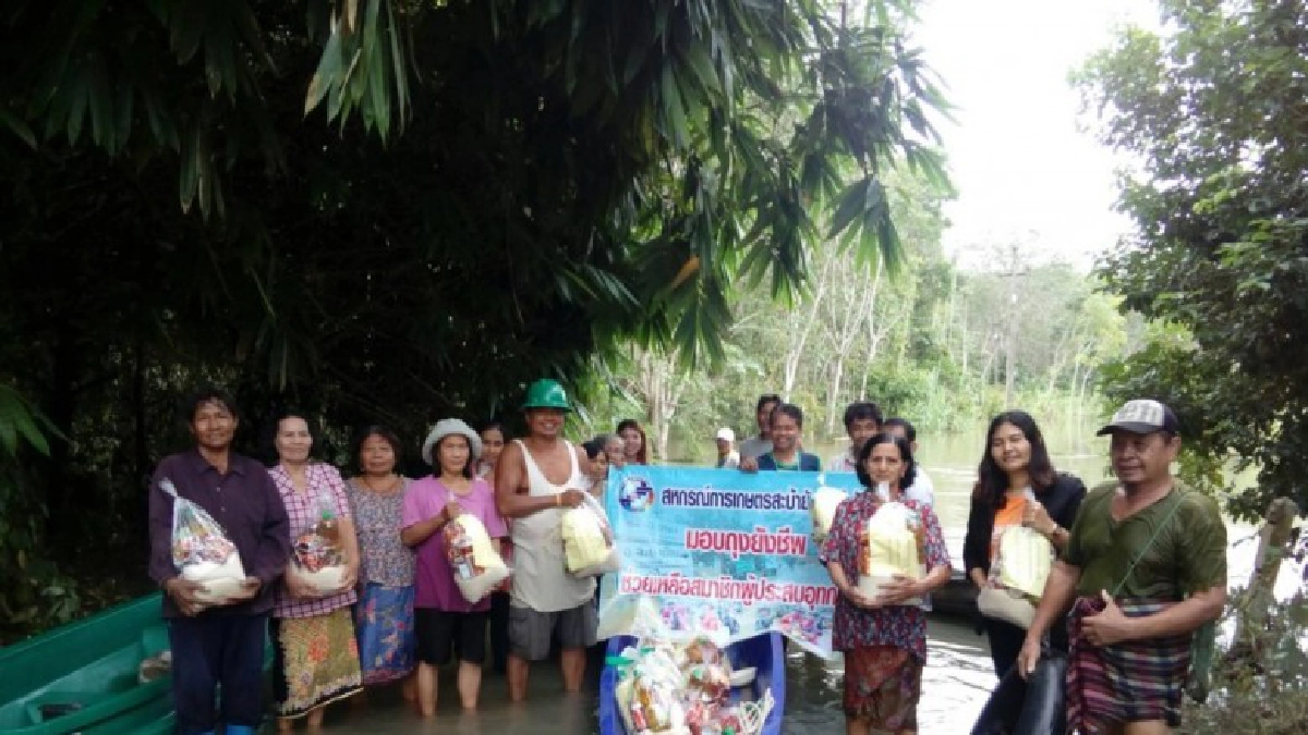 สหกรณ์เร่งสำรวจความเสียหายจังหวัดที่ประสบอุทกภัยภาคใต้