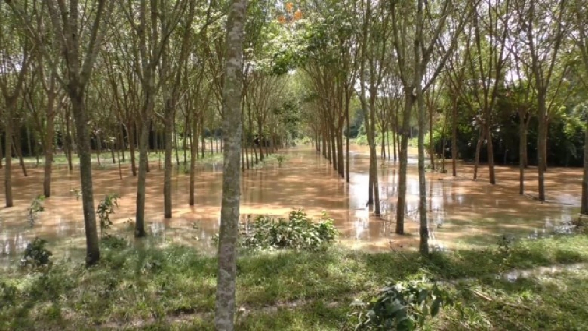 น้ำท่วมภาคใต้ หลายพื้นที่เข้าสู่ภาวะปกติแล้ว 