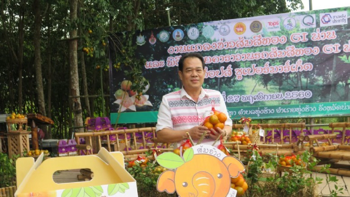 คาราวานส้มสีทอง GI น่าน สู่ห้างสรรพสินค้า TOP Supermarket 