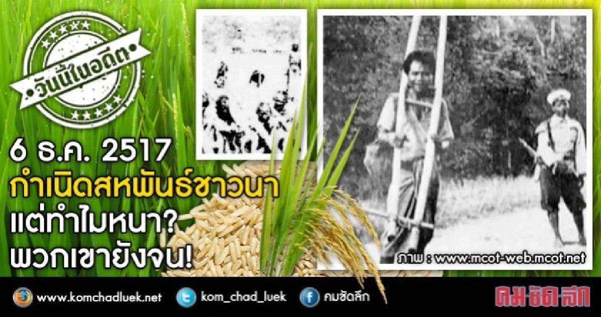 6 ธ.ค.2517 กำเนิดสหพันธ์ชาวนาฯ แต่ทำไมหนาพวกเขายังจน!