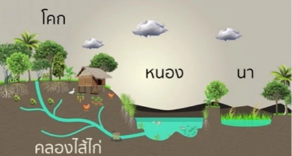 "วิวัฒน์"เปิดงานโครงการ "พลังคนสร้างสรรค์โลกปี5