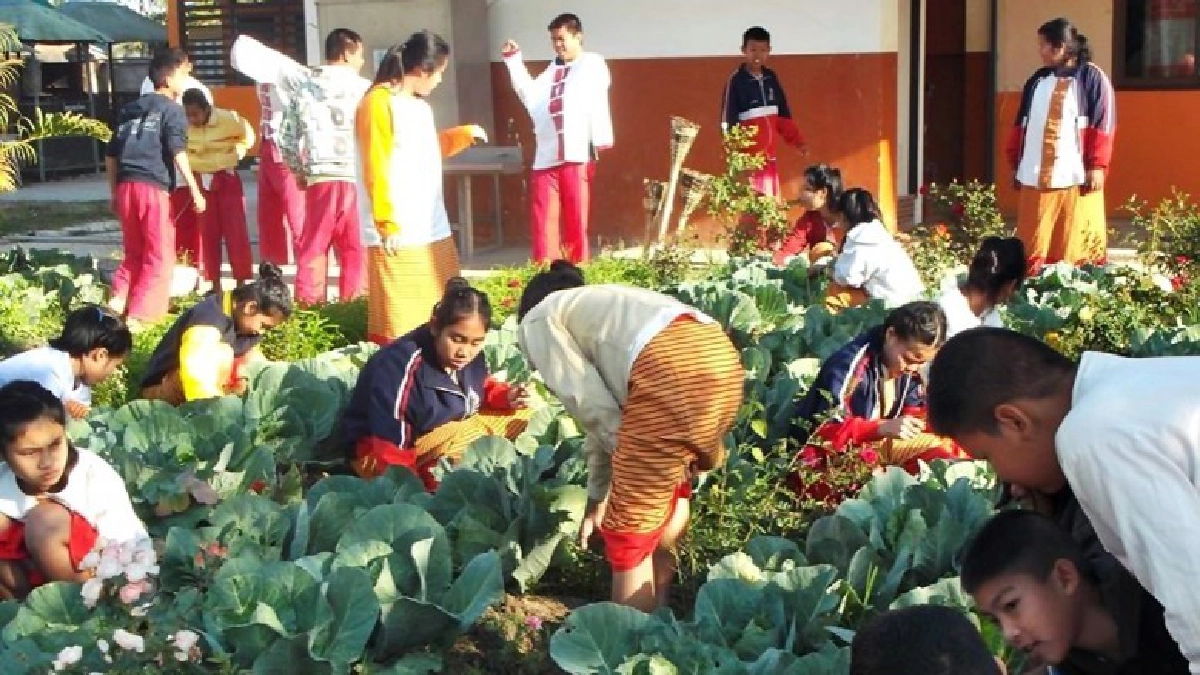 เรียนรู้ทักษะชีวิต"สวนเกษตร" ร.ร.ป่าแดงวิทยา