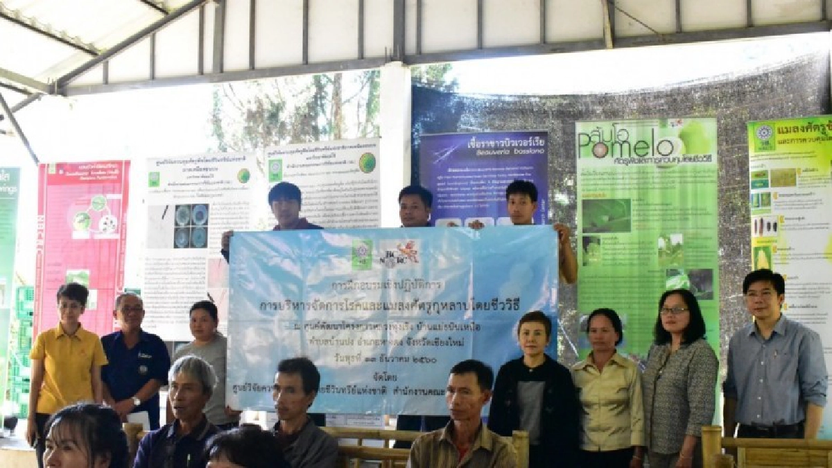 วช. เผยแพร่การจัดการโรคและแมลงศัตรูกุหลาบ และผักโดยชีววิธี วช. เผยแพร่การจัดการโรคและแมลงศัตรูกุหลาบ และผักโดยชีววิธี