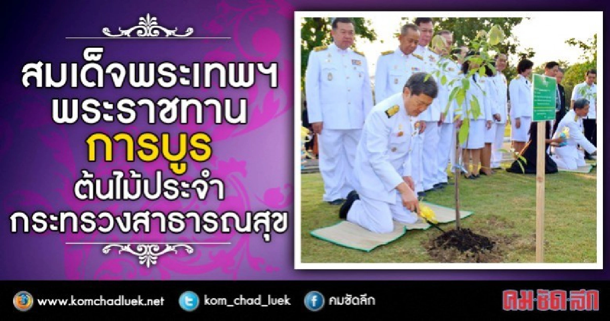 สมเด็จพระเทพฯพระราชทาน“การบูร”เป็นต้นไม้ประจำสาธารณสุข สมเด็จพระเทพฯพระราชทาน“การบูร”เป็นต้นไม้ประจำสาธารณสุข